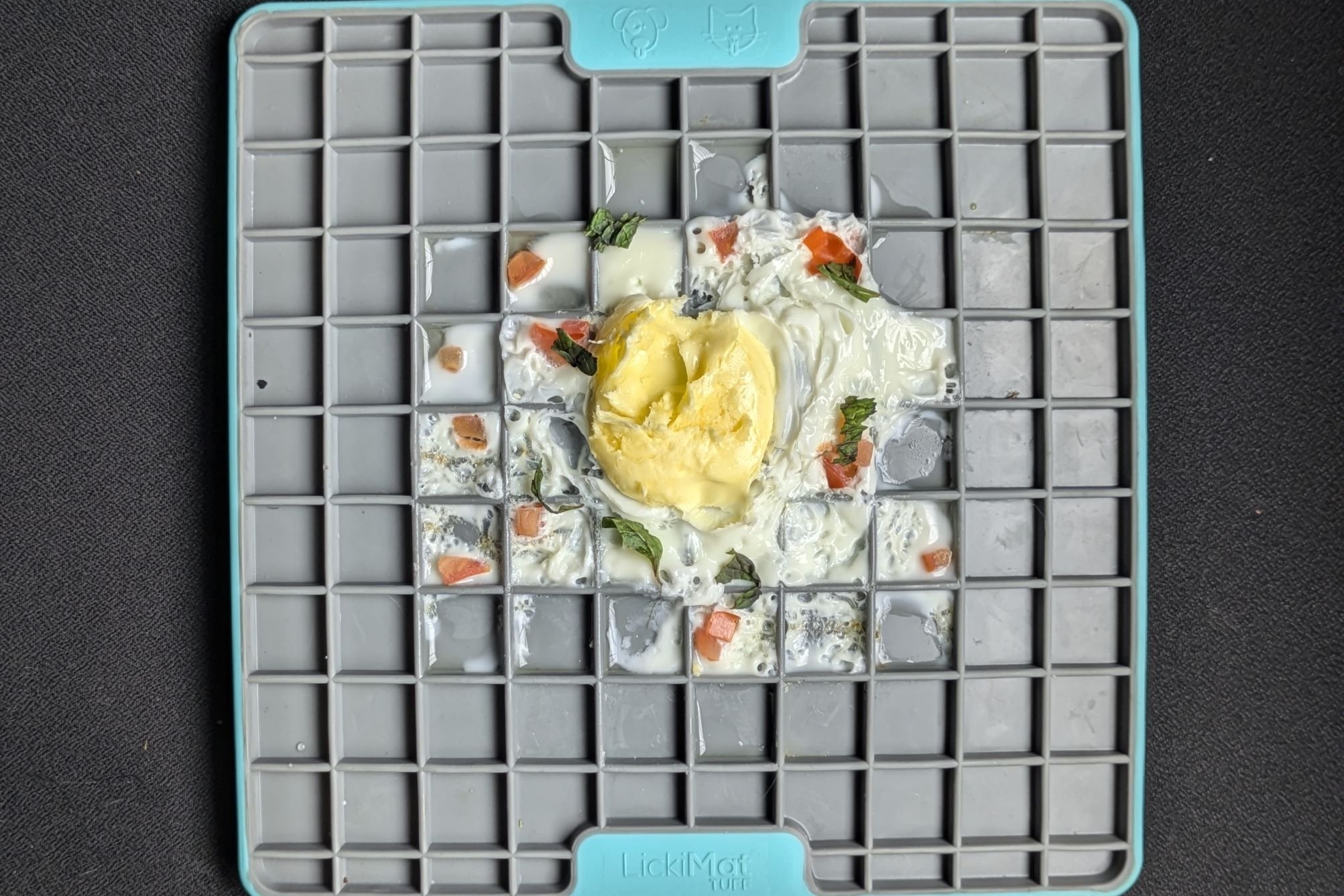 How to Use Lick Mat for Dogs Effectively: A Dog Trainer’s Guide